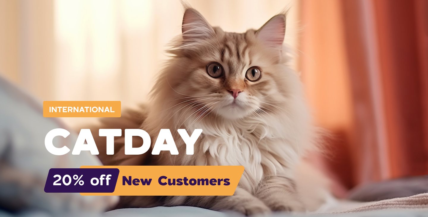 Image of a cat featuring offer on cat supplies