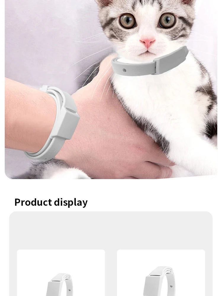 Adjustable Anti-Flea & Tick Collar for Cats and Small Dogs  Antiparasitic Protection - Breakaway Design for Safety