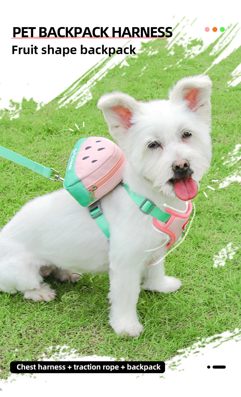 Cute Fruit-Themed Cat Harness with Detachable Backpack - Reflective, Adjustable Vest for Small to Medium Cats,Cat Backpack