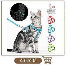 Cat Harness and Leash Set Reflective Kitten Puppy Dogs Jacket Mesh Pet Clothes For Small Dogs Pet Chihuahua Yorkies Pug