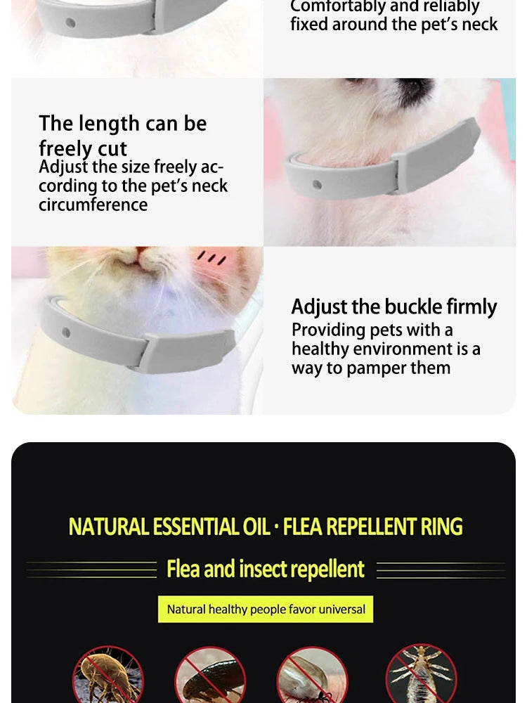 Adjustable Anti-Flea & Tick Collar for Cats and Small Dogs  Antiparasitic Protection - Breakaway Design for Safety