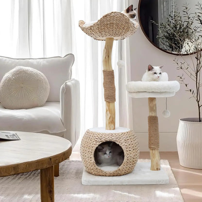 Modern Cat Tree Tower for Indoor , Real Branch Luxury Condo with Scratching Post, Jumping Platforms,  cat furniture