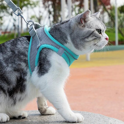 Cat Harness Leash Set Adjustable Dog Cat Collar for French Bulldog Harness Vest Puppy Chihuahua Pet Outdoor Walking Lead Leash