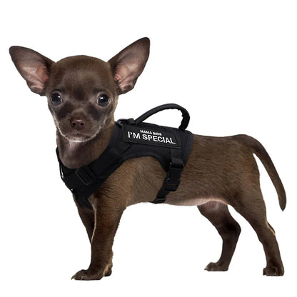 Nylon Cat Harness Vest with 2 Sticker Military Tactical Cats Harness With Handle Cats Small Dogs Pet Training Walking Chihuahua