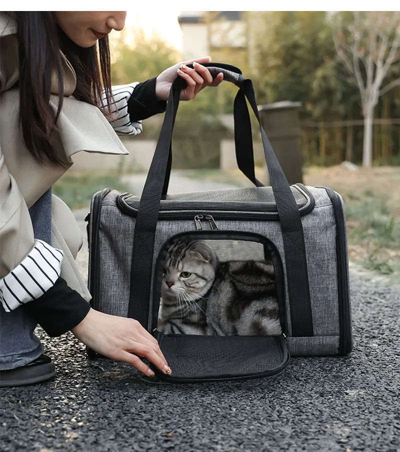 Cat Outgoing Travel Puppy Carrier Backpack Pet Bag Large Capacity Breathable Portable Cat Backpack Foldable Dog Bag Pet Supplies