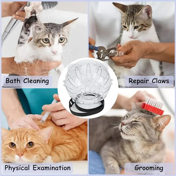 TONG Cat Muzzle with 4Pcs Paw Cover Grooming Anti Bite Breathable Protective Space Hood Cats Helmet Mask Adjustable Strap