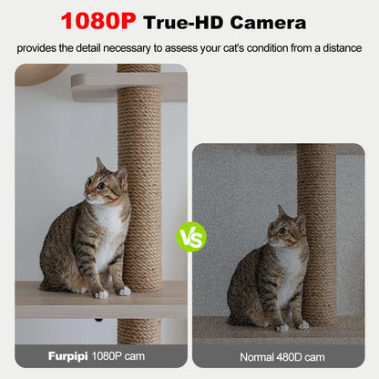 Furpipi 8L Smart Automatic Cat Feeders with 1080P HD Camera 5G WiFi Pet Feeder Tuya APP Control Automatic Cat Dog Food Dispenser