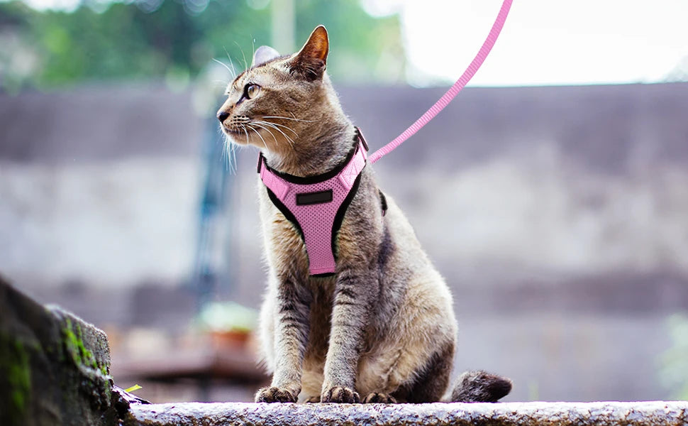 YOKEE Soft Mesh Small Cat Harness and Leash Set Adjustable Vest Escape Proof for Pet Kitten Easy Control Reflective Puppy Dogs