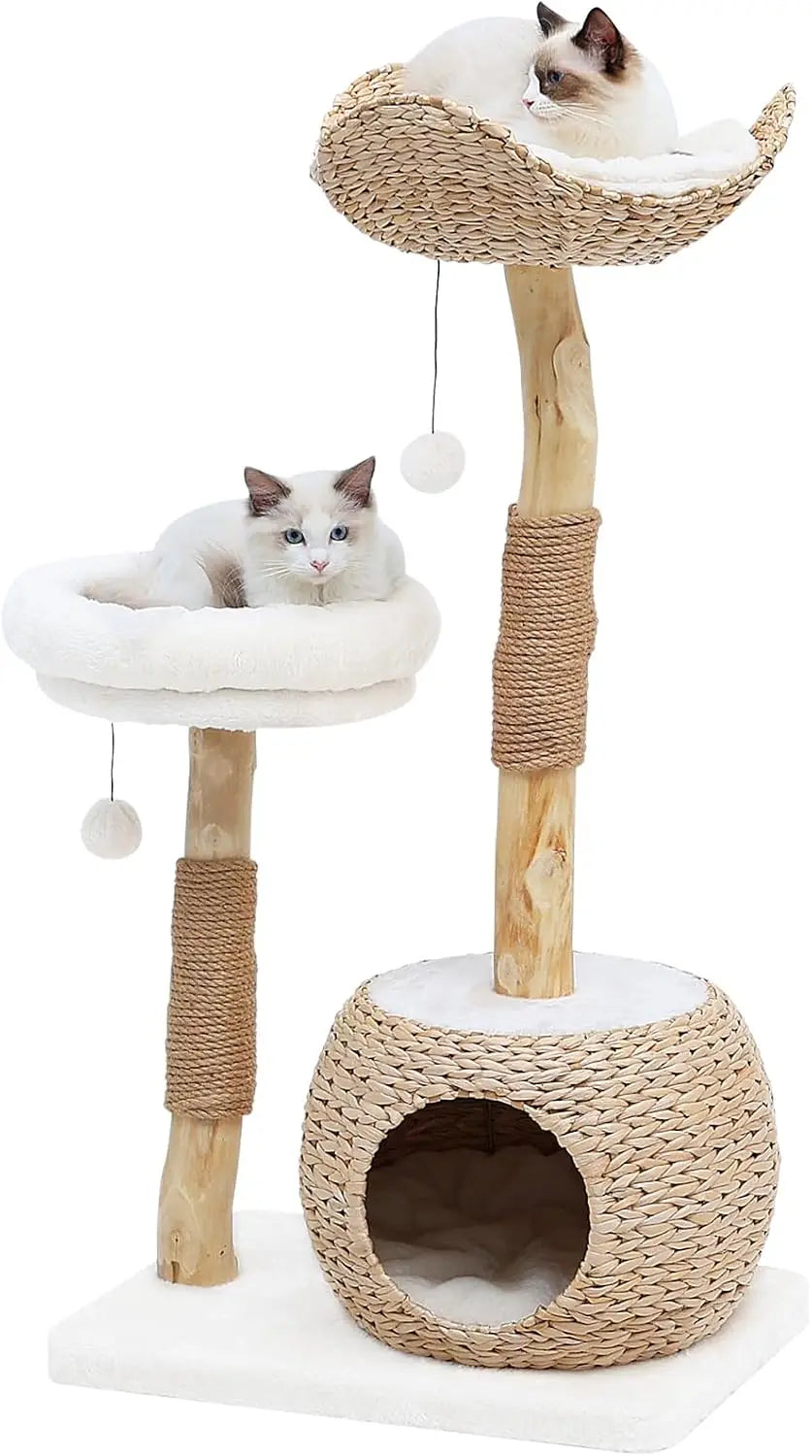 Modern Cat Tree Tower for Indoor , Real Branch Luxury Condo with Scratching Post, Jumping Platforms,  cat furniture