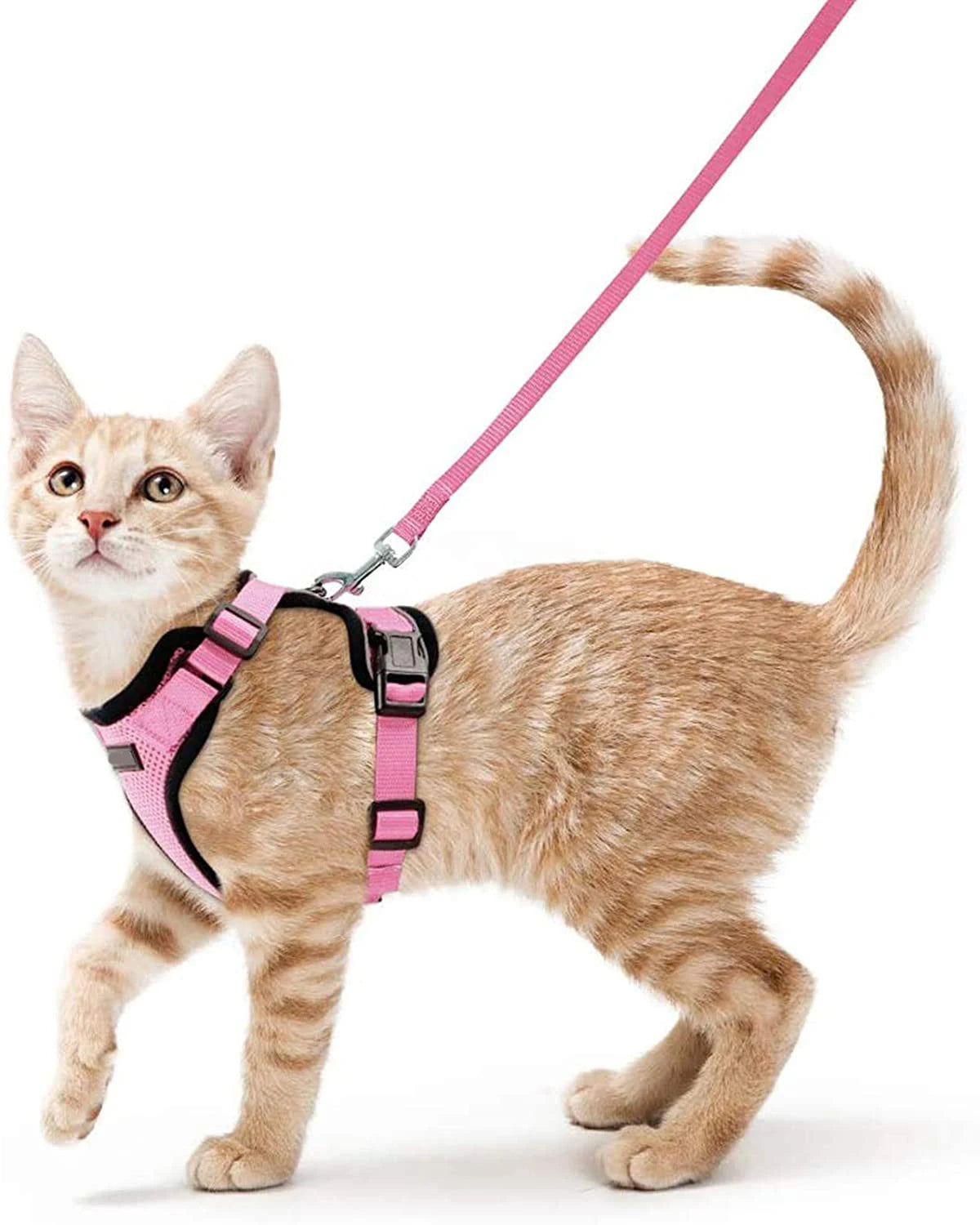 YOKEE Soft Mesh Small Cat Harness and Leash Set Adjustable Vest Escape Proof for Pet Kitten Easy Control Reflective Puppy Dogs