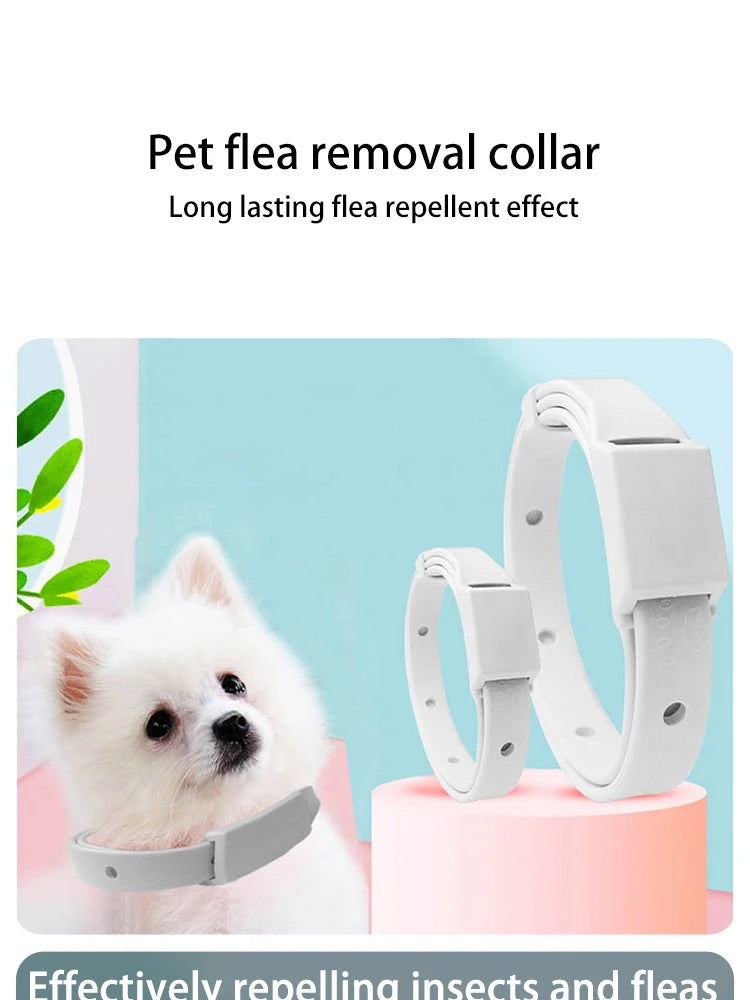 Adjustable Anti-Flea & Tick Collar for Cats and Small Dogs  Antiparasitic Protection - Breakaway Design for Safety