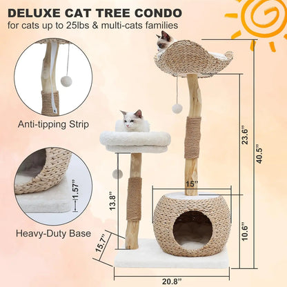 Modern Cat Tree Tower for Indoor , Real Branch Luxury Condo with Scratching Post, Jumping Platforms,  cat furniture