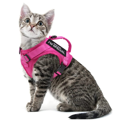 Nylon Cat Harness Vest with 2 Sticker Military Tactical Cats Harness With Handle Cats Small Dogs Pet Training Walking Chihuahua