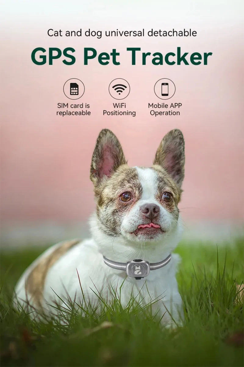 4G/2G Dog Gps Tracker Mini Gps for Cats Waterproof Anti-Lost Device Pet Location Anti-Theft Alarm Tracker Collar Dog Accessories