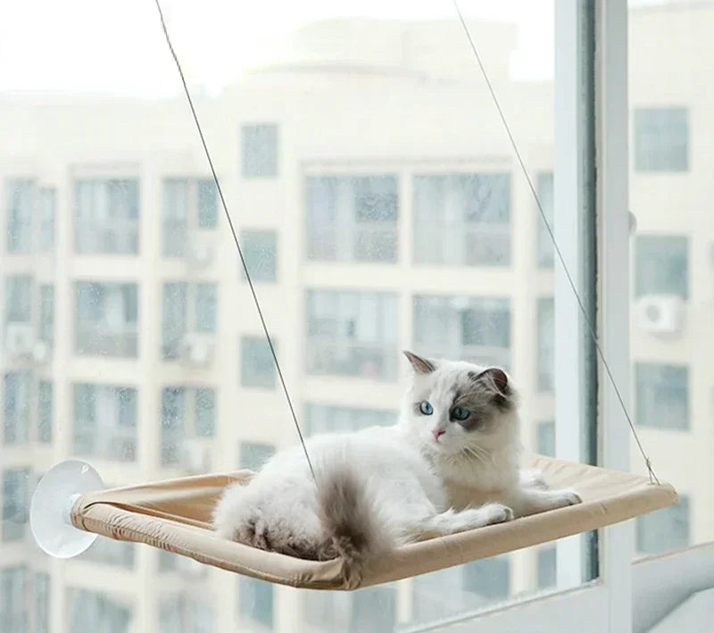 Hanging Cat Bed Pet Cat Hammock Aerial Cats Bed House Kitten Climbing Frame Sunny Window Seat Nest Bearing 20kg Pet Accessories