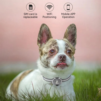 4G/2G Dog Gps Tracker Mini Gps for Cats Waterproof Anti-Lost Device Pet Location Anti-Theft Alarm Tracker Collar Dog Accessories